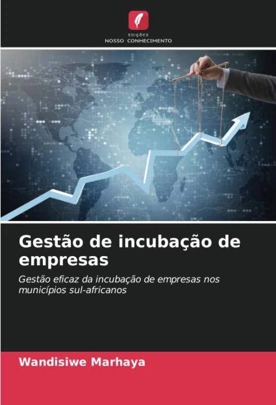 Gestão de incubação de empresas: Gestão eficaz da incubação de empresas nos municípios sul-africanos
