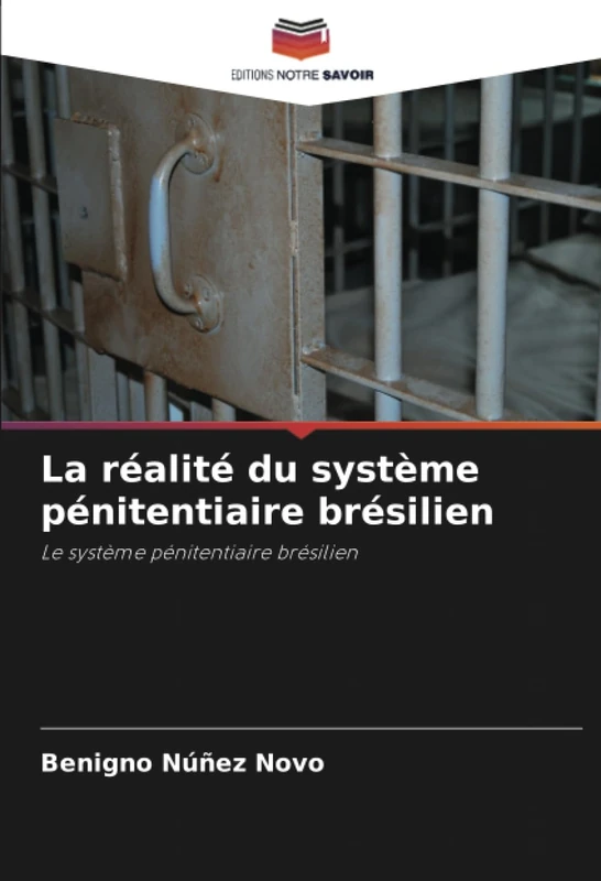 La réalité du système pénitentiaire brésilien: Le système pénitentiaire brésilien