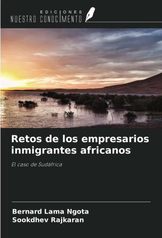 Retos de los empresarios inmigrantes africanos: El caso de Sudáfrica