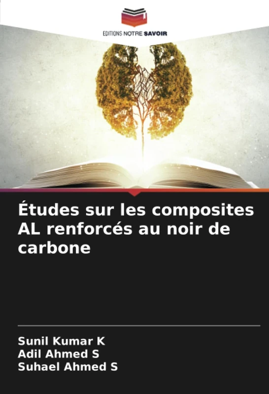 Études sur les composites AL renforcés au noir de carbone - Image 1