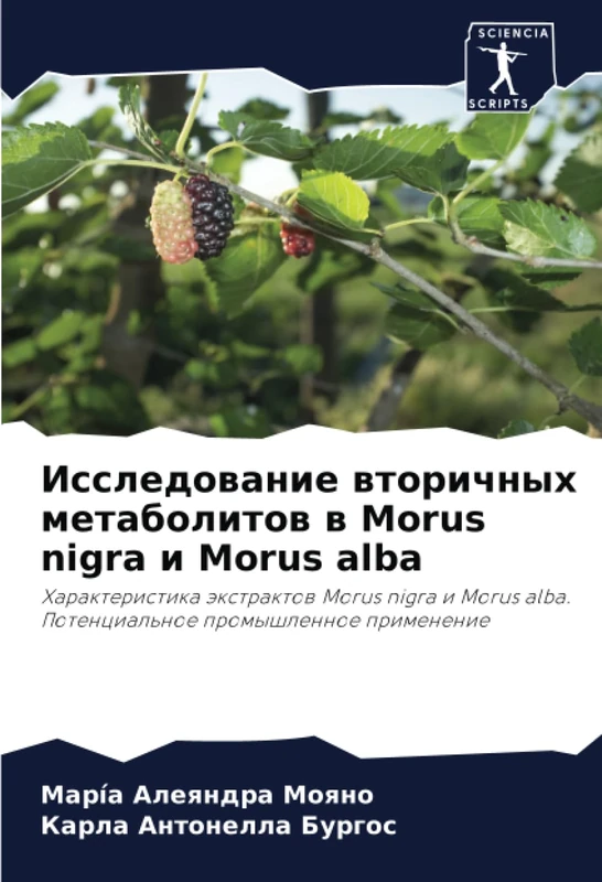 Исследование вторичных метаболитов в Morus nigra и Morus alba: Характеристика экстрактов Morus nigra и Morus alba. Потенциальное промышленное ... alba. Potencial'noe promyshlennoe primenenie
