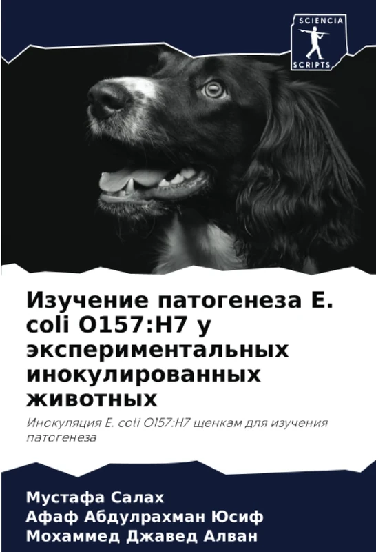 Изучение патогенеза E. coli O157:H7 у экспериментальных инокулированных животных: Инокуляция E. coli O157:H7 щенкам для изучения патогенеза