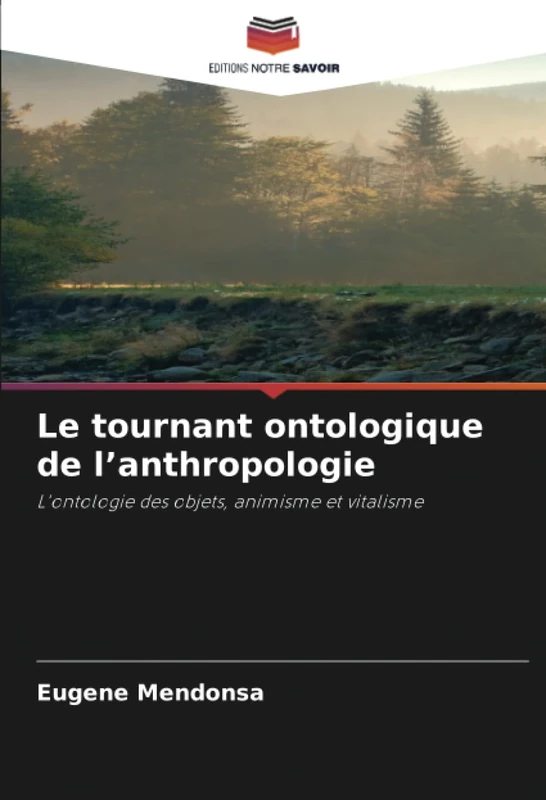 Le tournant ontologique de l’anthropologie: L'ontologie des objets, animisme et vitalisme - Image 1