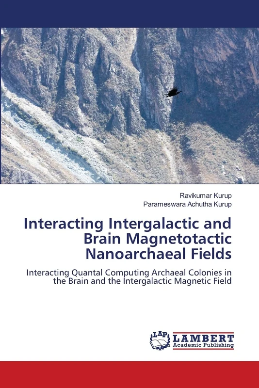 Interacting Intergalactic and Brain Magnetotactic Nanoarchaeal Fields: Interacting Quantal Computing Archaeal Colonies in the Brain and the Intergalactic Magnetic Field