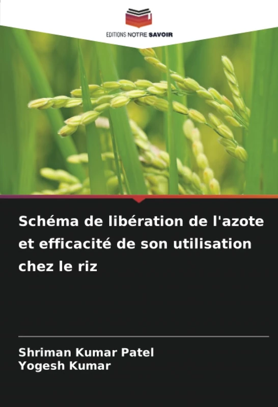 Schéma de libération de l'azote et efficacité de son utilisation chez le riz