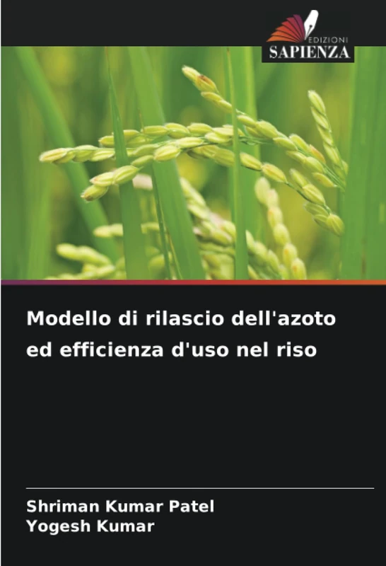 Modello di rilascio dell'azoto ed efficienza d'uso nel riso - Image 1