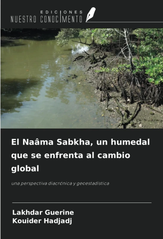 El Naâma Sabkha, un humedal que se enfrenta al cambio global: una perspectiva diacrónica y geoestadística - Image 1