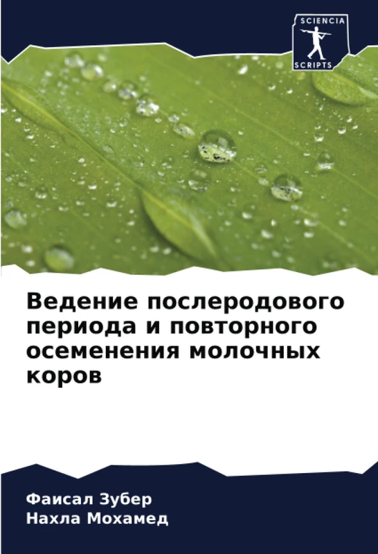 Ведение послеродового периода и повторного осеменения молочных коров
