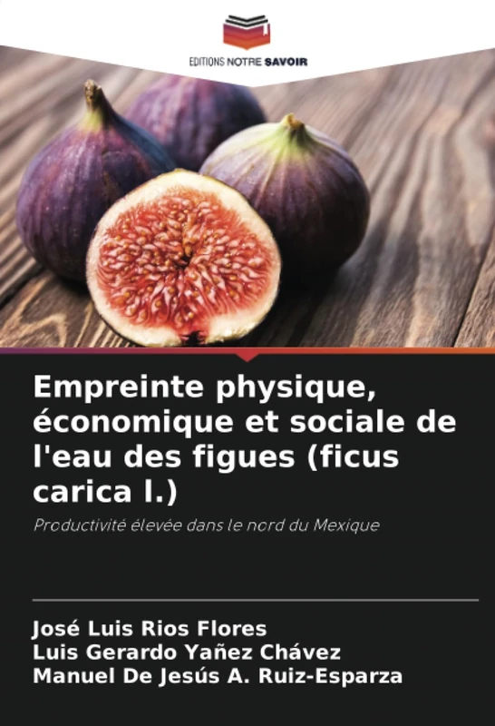 Empreinte physique, économique et sociale de l'eau des figues (ficus carica l.): Productivité élevée dans le nord du Mexique - Image 1