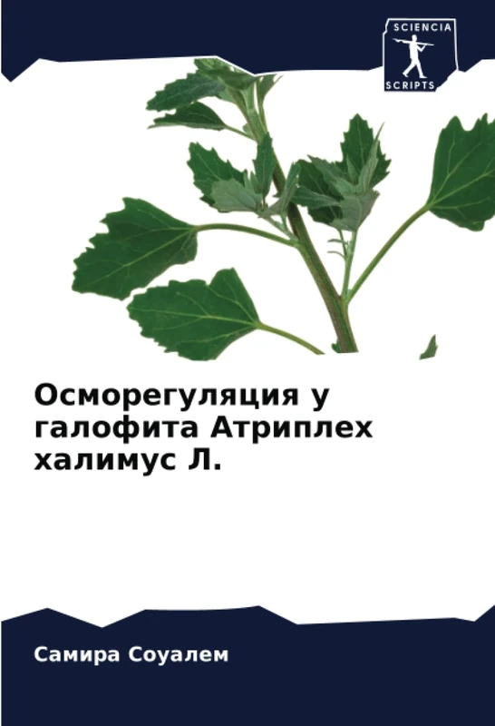 Осморегуляция у галофита Атриплех халимус Л.