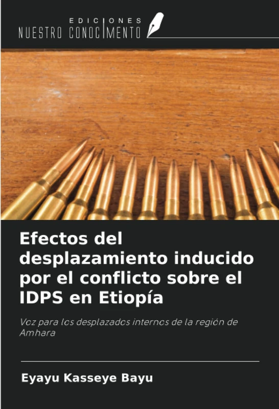 Efectos del desplazamiento inducido por el conflicto sobre el IDPS en Etiopía: Voz para los desplazados internos de la región de Amhara