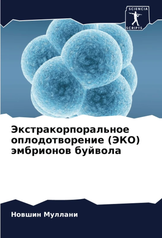 Экстракорпоральное оплодотворение (ЭКО) эмбрионов буйвола