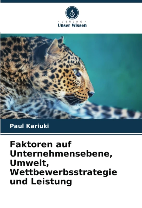 Faktoren auf Unternehmensebene, Umwelt, Wettbewerbsstrategie und Leistung