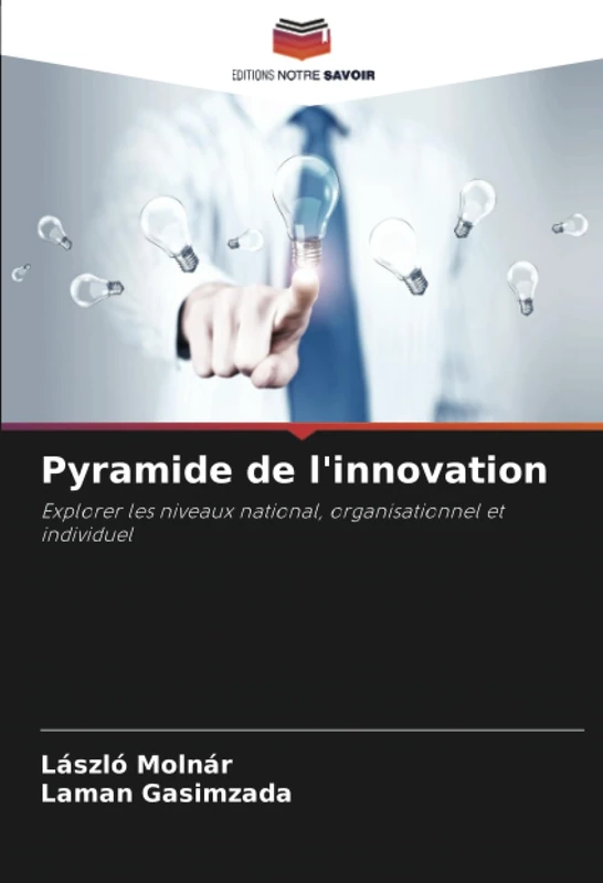 Pyramide de l'innovation: Explorer les niveaux national, organisationnel et individuel