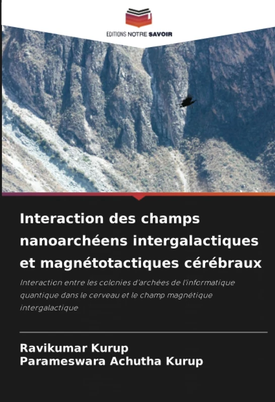 Interaction des champs nanoarchéens intergalactiques et magnétotactiques cérébraux: Interaction entre les colonies d'archées de l'informatique ... et le champ magnétique intergalactique