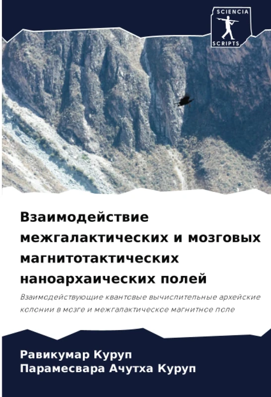 Взаимодействие межгалактических и мозговых магнитотактических наноархаических полей: Взаимодействующие квантовые вычислительные архейские колонии в ... w mozge i mezhgalakticheskoe magnitnoe pole - Image 1