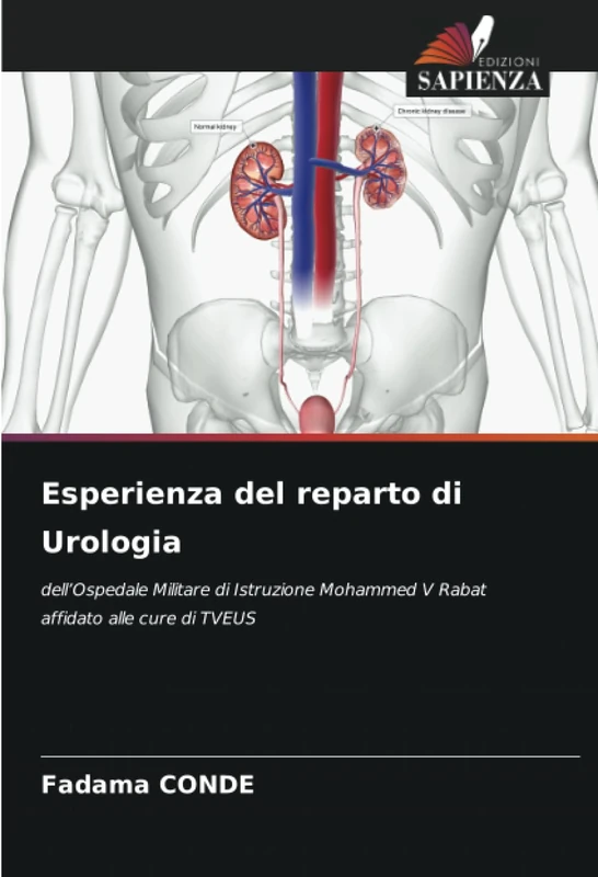 Esperienza del reparto di Urologia: dell’Ospedale Militare di Istruzione Mohammed V Rabat affidato alle cure di TVEUS - Image 1