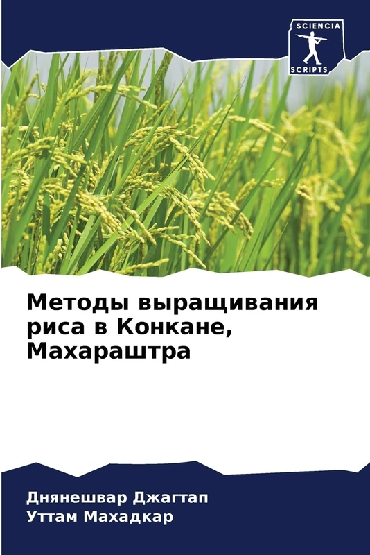 Методы выращивания риса в Конкане, Махараштра