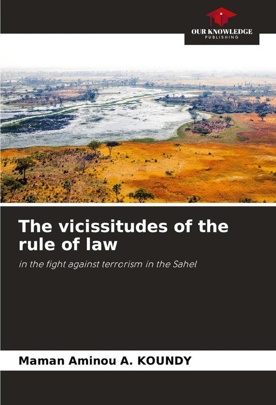 The vicissitudes of the rule of law: in the fight against terrorism in the Sahel - Image 1