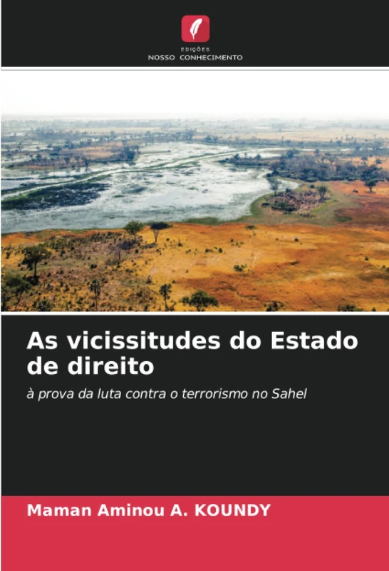 As vicissitudes do Estado de direito: à prova da luta contra o terrorismo no Sahel - Image 1