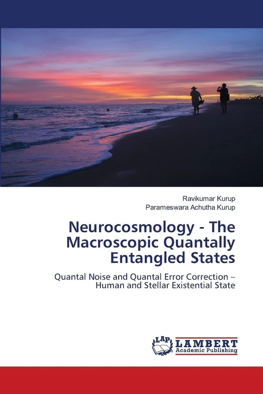 Neurocosmology - The Macroscopic Quantally Entangled States: Quantal Noise and Quantal Error Correction – Human and Stellar Existential State - Image 1