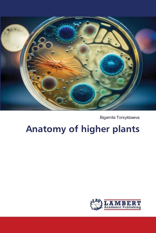 Anatomy of higher plants