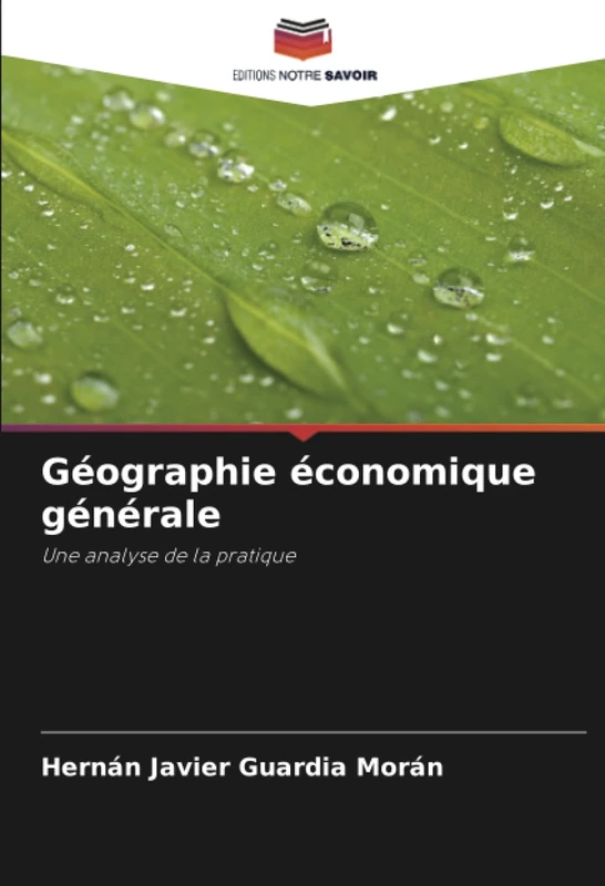 Géographie économique générale: Une analyse de la pratique