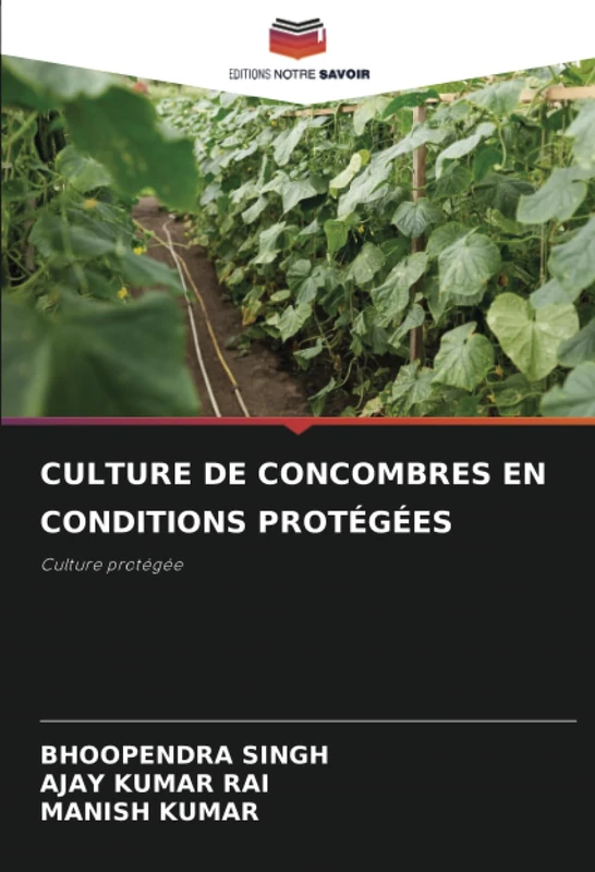 CULTURE DE CONCOMBRES EN CONDITIONS PROTÉGÉES: Culture protégée - Image 1