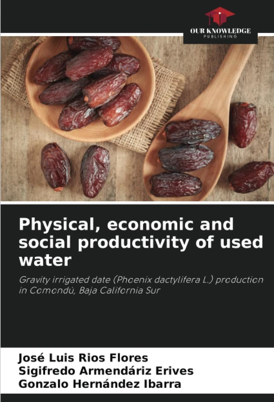Physical, economic and social productivity of used water: Gravity irrigated date (Phoenix dactylifera L.) production in Comondú, Baja California Sur - Image 1