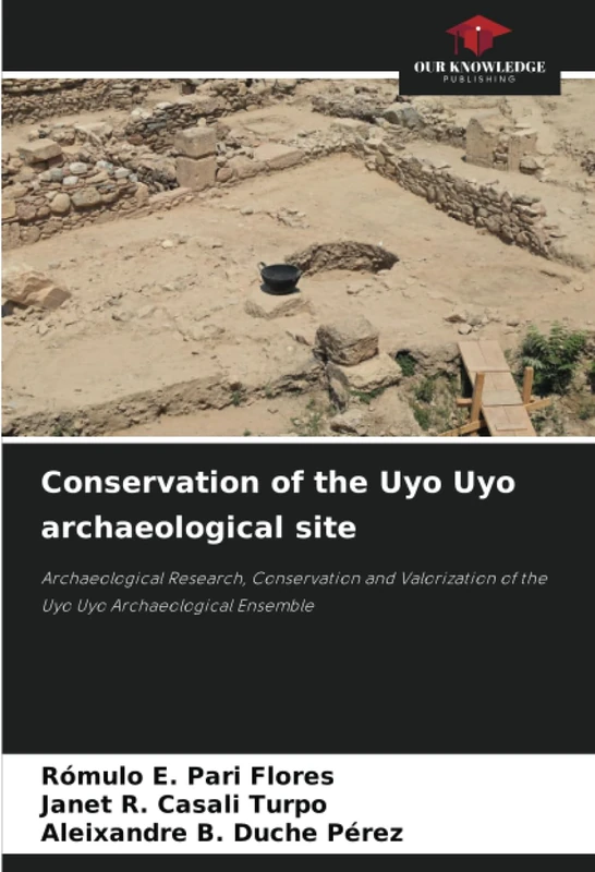 Conservation of the Uyo Uyo archaeological site: Archaeological Research, Conservation and Valorization of the Uyo Uyo Archaeological Ensemble