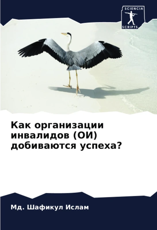 Как организации инвалидов (ОИ) добиваются успеха?