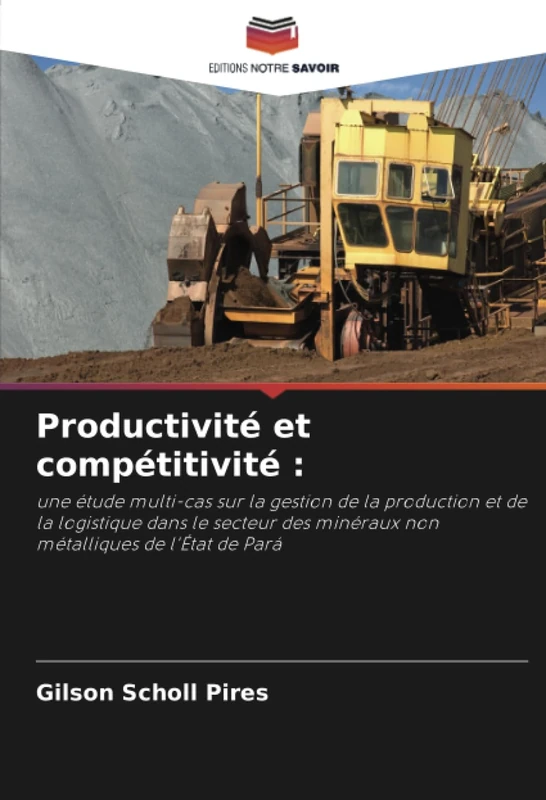 Productivité et compétitivité :: une étude multi-cas sur la gestion de la production et de la logistique dans le secteur des minéraux non métalliques de l'État de Pará