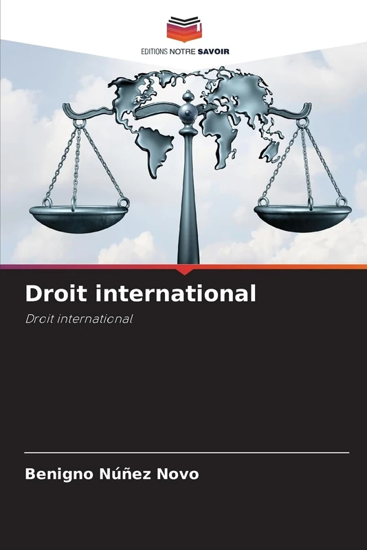 Droit international: Droit international