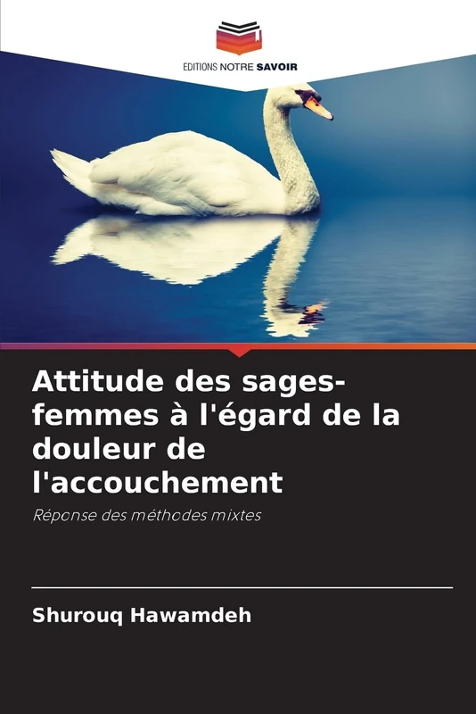 Attitude des sages-femmes à l'égard de la douleur de l'accouchement: Réponse des méthodes mixtes - Image 1
