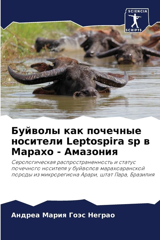 Буйволы как почечные носители Leptospira sp в Марахо - Амазония: Serologicheskaq rasprostranennost' i status pochechnogo nositelq u bujwolow ... iz mikroregiona Arari, shtat Para, Braziliq
