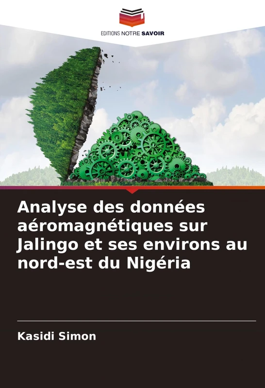 Analyse des données aéromagnétiques sur Jalingo et ses environs au nord-est du Nigéria - Image 1