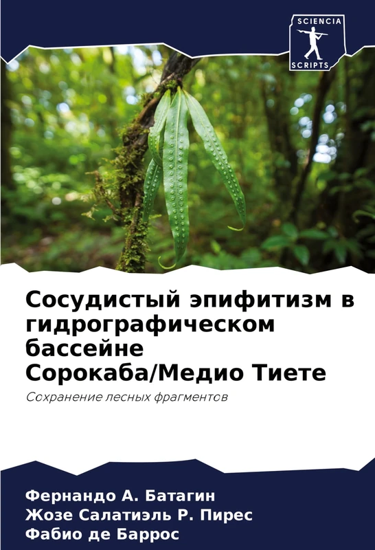 Сосудистый эпифитизм в гидрографическом: Sohranenie lesnyh fragmentow