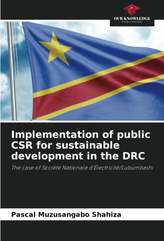 Implementation of public CSR for sustainable development in the DRC: The case of Société Nationale d'Électricité/Lubumbashi