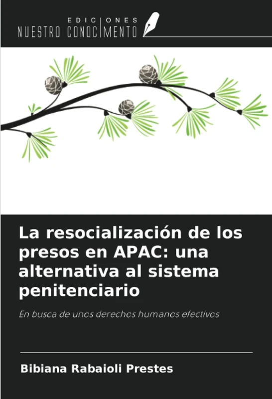 La resocialización de los presos en APAC: una alternativa al sistema penitenciario: En busca de unos derechos humanos efectivos - Image 1
