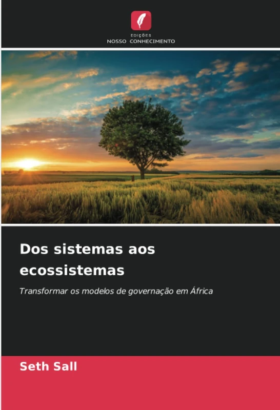 Dos sistemas aos ecossistemas: Transformar os modelos de governação em África