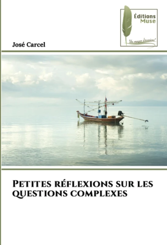 Petites réflexions sur les questions complexes