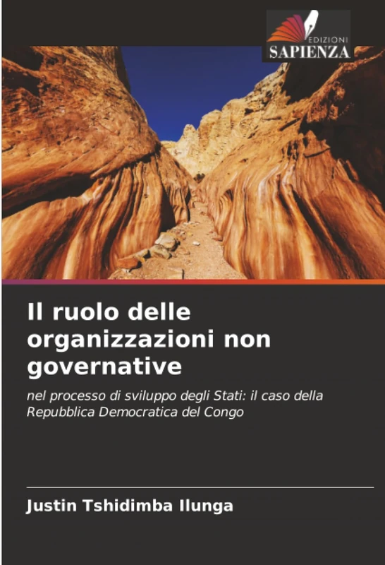 Il ruolo delle organizzazioni non governative: nel processo di sviluppo degli Stati: il caso della Repubblica Democratica del Congo