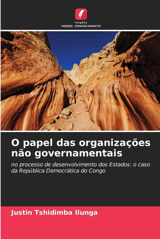 O papel das organizações não governamentais: no processo de desenvolvimento dos Estados: o caso da República Democrática do Congo