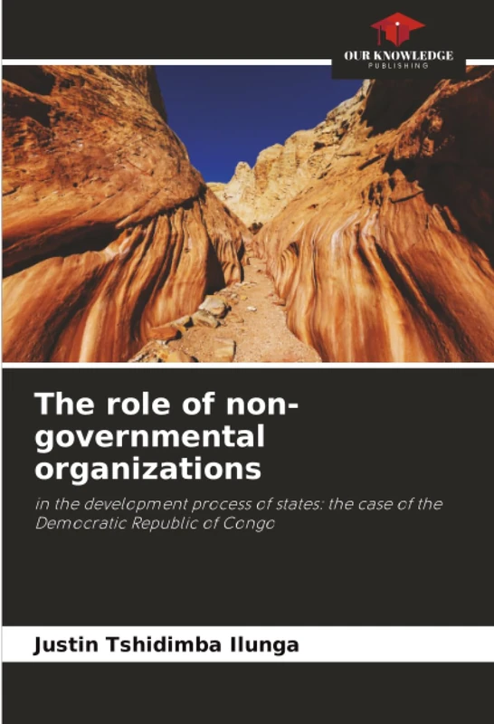 The role of non-governmental organizations: in the development process of states: the case of the Democratic Republic of Congo