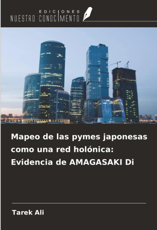 Mapeo de las pymes japonesas como una red holónica: Evidencia de AMAGASAKI Di - Image 1