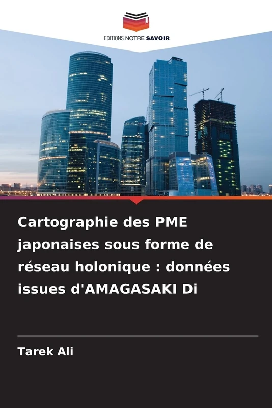 Cartographie des PME japonaises sous forme de réseau holonique : données issues d'AMAGASAKI Di