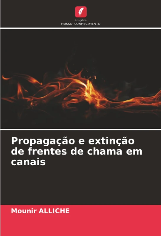 Propagação e extinção de frentes de chama em canais