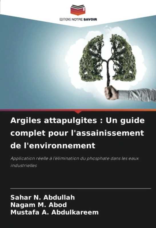 Argiles attapulgites : Un guide complet pour l'assainissement de l'environnement: Application réelle à l'élimination du phosphate dans les eaux industrielles - Image 1