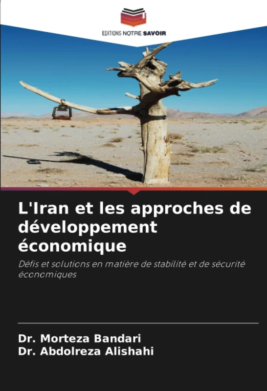 L'Iran et les approches de développement économique: Défis et solutions en matière de stabilité et de sécurité économiques