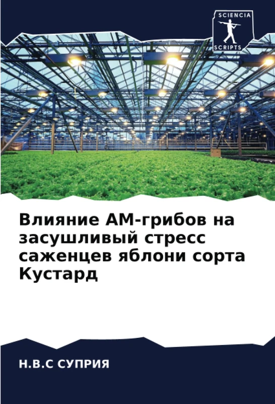 Влияние АМ-грибов на засушливый стресс саженцев яблони сорта Кустард
